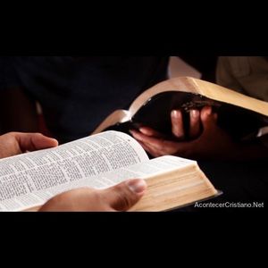 Meet your Posher, Cynthia